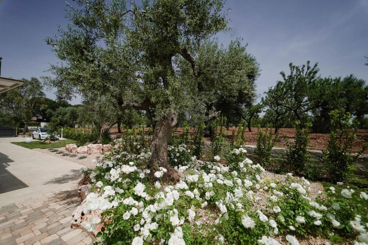 Almasol - Charme Experience Bed and Breakfast Castellana Grotte Exteriör bild
