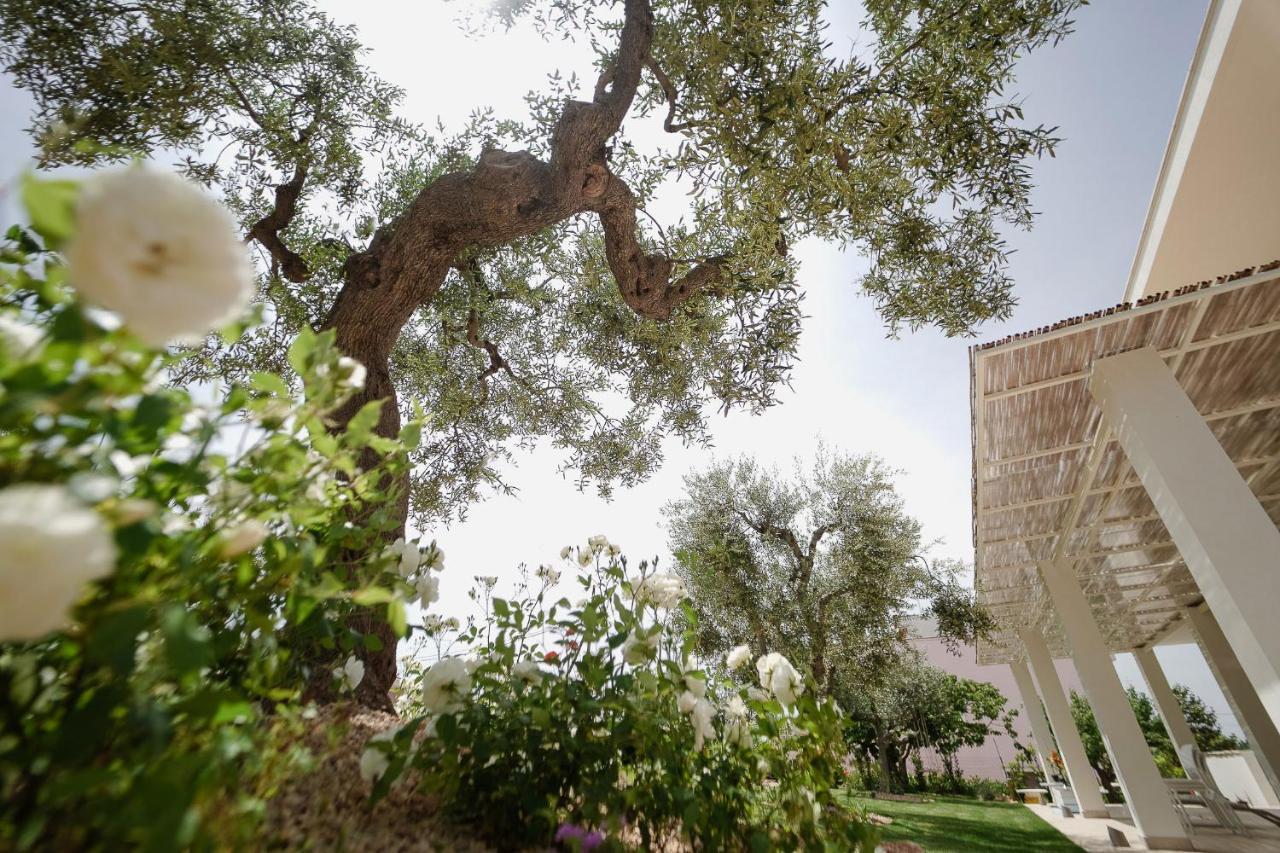 Almasol - Charme Experience Bed and Breakfast Castellana Grotte Exteriör bild